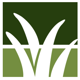 Bossier City Lawn Clean Up