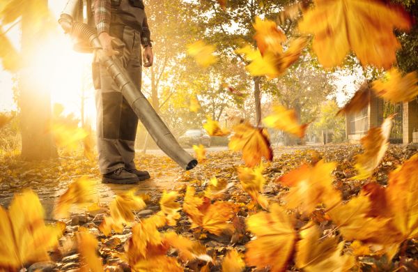 Leaf Blowing Service in Bossier City
