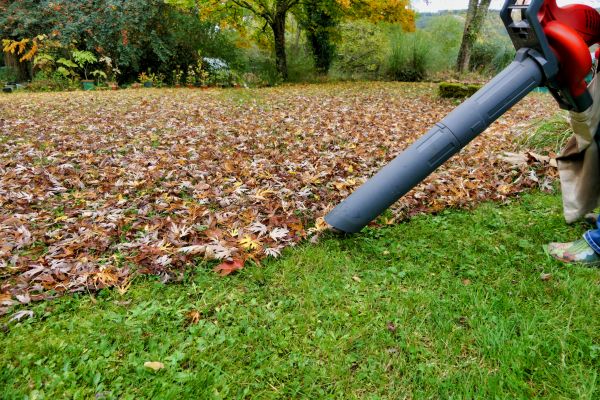 Leaf Vacuuming Service in Bossier City
