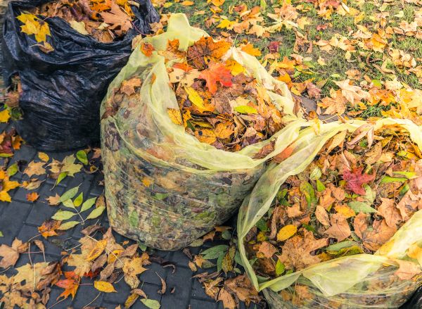 Yard Cleanup Service in Bossier City