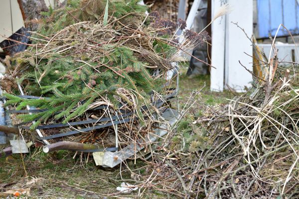 Yard Debris Removal in Bossier City
