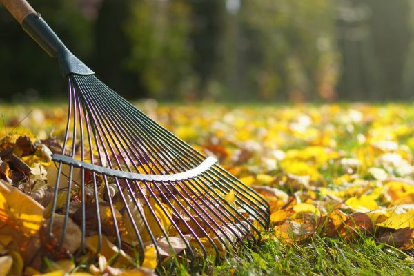 Leaf Raking Service in Bossier City