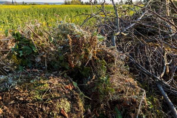 Brush Disposal in Bossier City