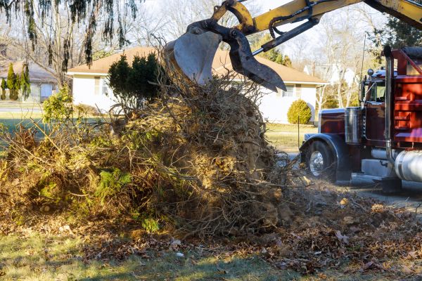 Storm Debris Removal in Bossier City