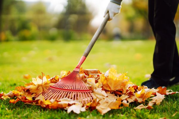 Ditch Leaf Removal in Bossier City