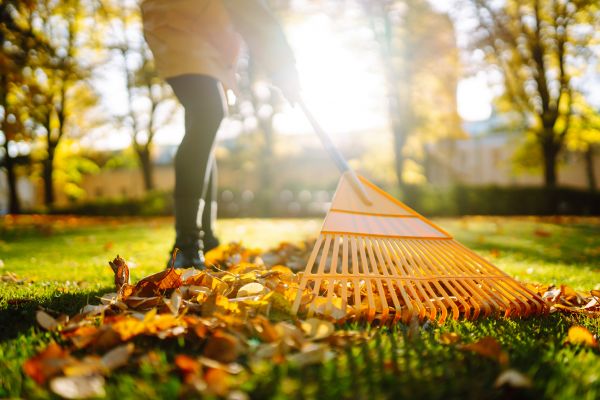 Leaves Raking in Bossier City