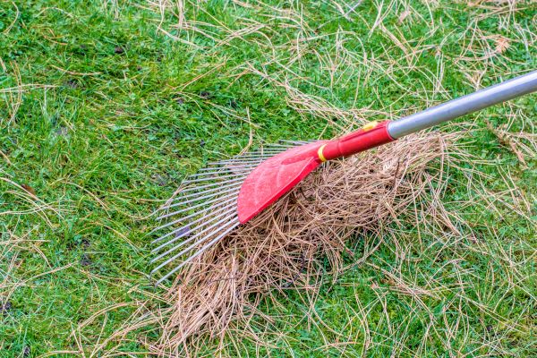 Yard Raking in Bossier City