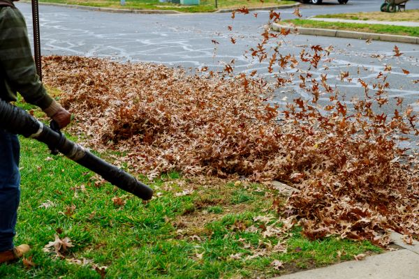 Cost of Garden Leaf Removal in Bossier City