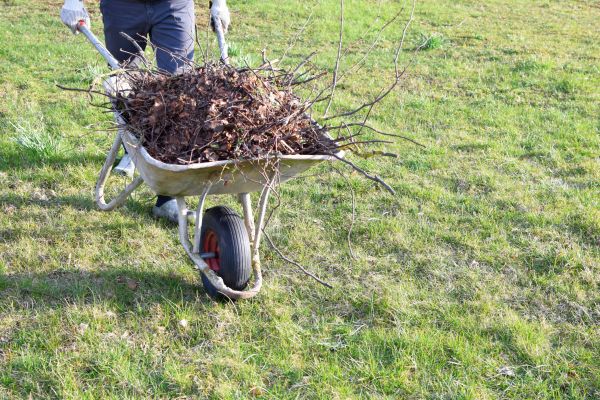 Yard Brush Removal in Bossier City