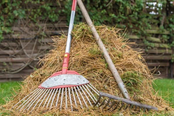Cost of Pine Straw Clearing in Bossier City