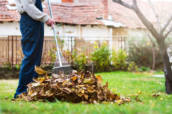 Spring Lawn Cleanup in Bossier City