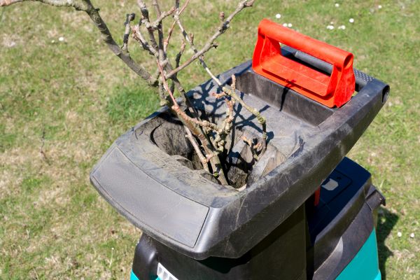 Cost of Brush Cleanup Service in Bossier City