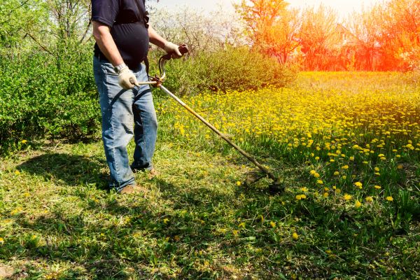 Cost of Yard Clearing Service in Bossier City