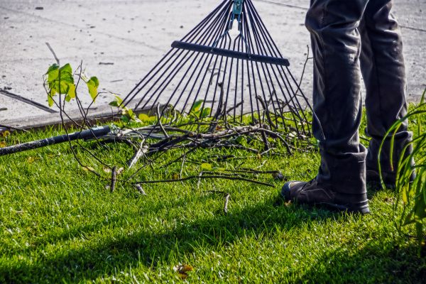 Yard Debris Cleanup in Bossier City