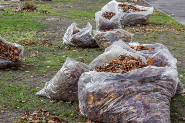 Cost of Leaf Pile Disposal in Bossier City