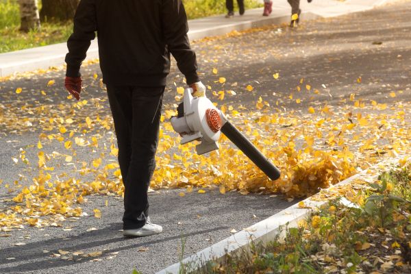 Commercial Leaf Removal in Bossier City